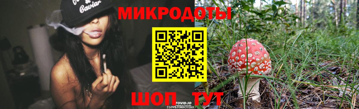 Псилоцибиновые грибы Cubensis  Вход с VPN  Сертолово 